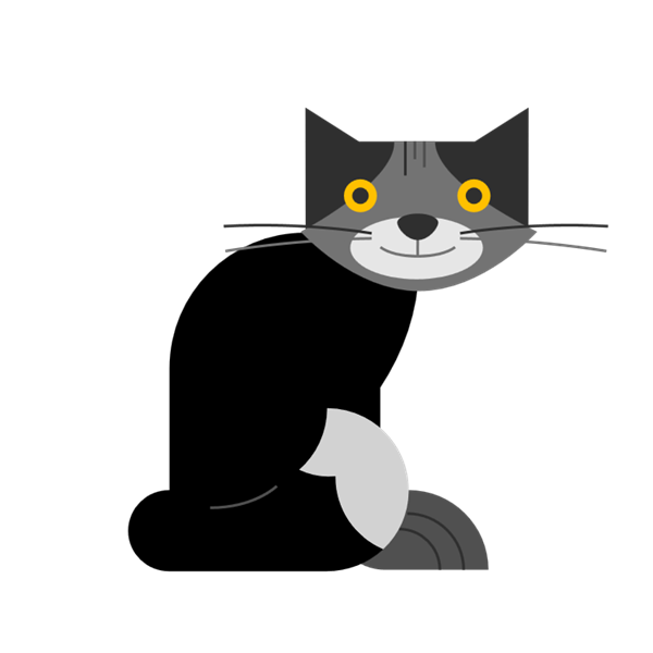 A cat